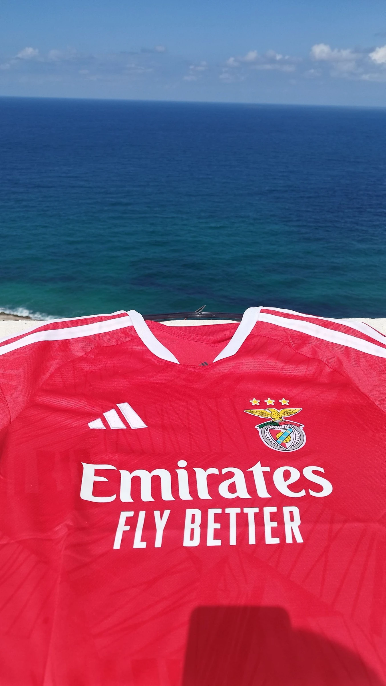 Camisola Benfica 26